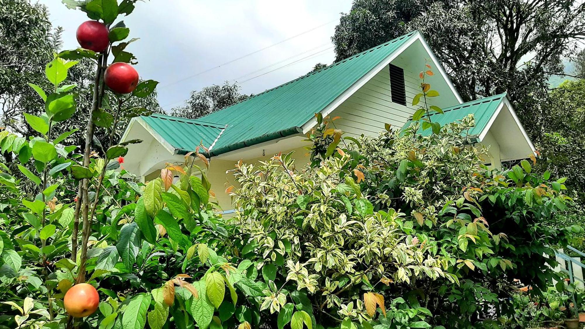 Summer Dew Anachal Exterior photo